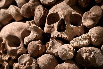 Image showing Skulls and bones in a wall