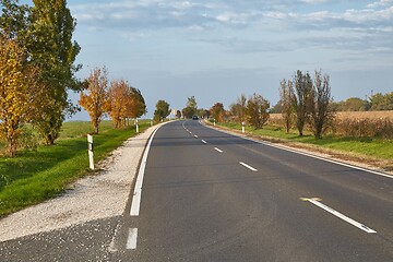 Image showing Asphalt Road on rural plains