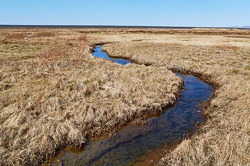 Image showing Little Creek Flowing