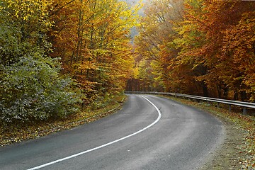 Image showing Autumn road through woods