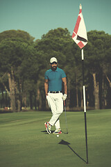 Image showing golf player portrait at course