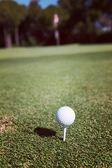 Image showing golf ball on tee