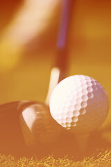 Image showing golf club and ball in grass