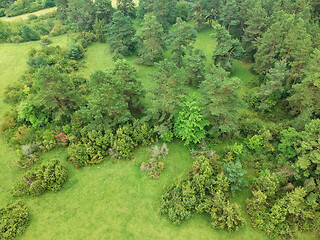 Image showing aerial view trees