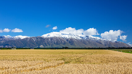 Image showing Mount Taylor and Mount Hutt scenery in south New Zealand