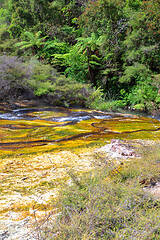 Image showing volcanic activities at waimangu