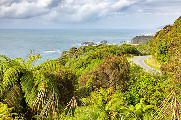Image showing lush coast at New Zealand south