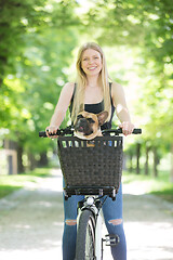 Image showing French bulldog dog enjoying riding in bycicle basket in city park