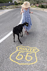 Image showing Young attractive woman wearing striped summer dress and straw hat standing on an endless straight empty road in the middle of nowhere on the Route 66 road and feeding black sheep.