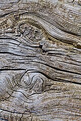 Image showing Old Wood Texture