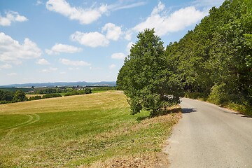 Image showing Road through farmlands