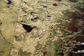 Image showing Swampy landscape from above