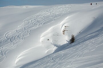 Image showing Ski Slope with Fresh Curves
