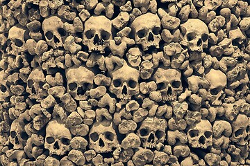 Image showing Skulls and bones in a wall