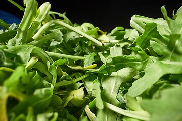 Image showing Fresh green salad macro with probe lens