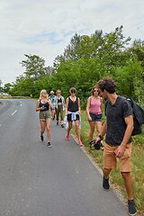 Image showing Young group of friends walking by the road