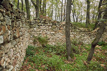 Image showing Old Stone Wall in a forest