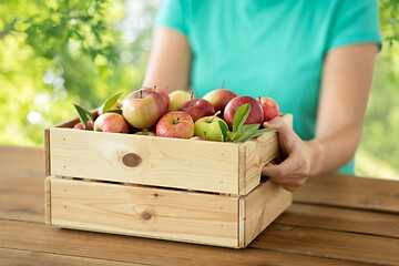 Image showing woman with wooden box of ripe apples