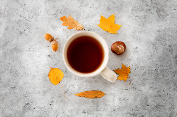 Image showing cup of tea, autumn leaves, acorns and chestnut