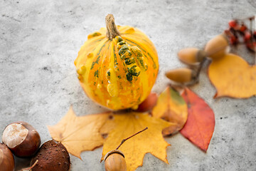 Image showing close up of pumpkin, acorns and autumn leaves