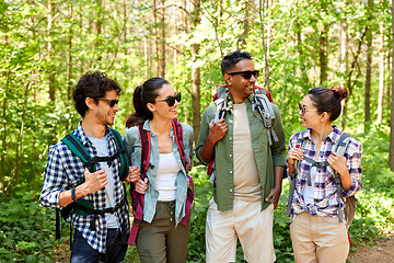 Image showing friends with backpacks on hike talking in forest
