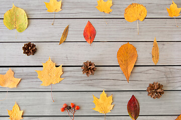 Image showing dry autumn leaves, rowanberries and pine cones