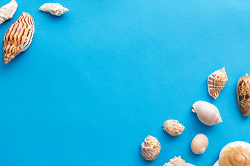 Image showing different sea shells on blue background