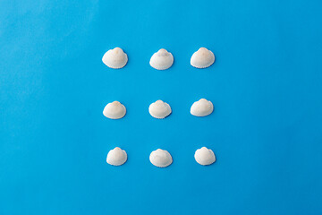 Image showing different sea shells on blue background