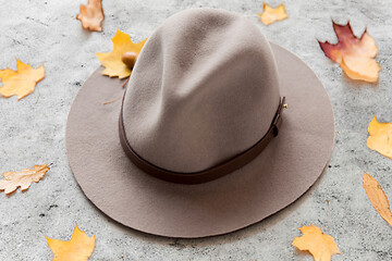 Image showing hat and fallen autumn leaves on gray stone