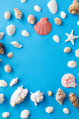 Image showing frame of different sea shells on blue background