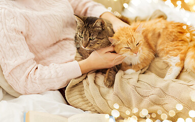 Image showing close up of owner with red and tabby cat in bed