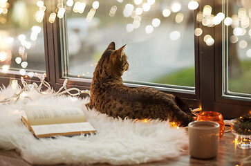 Image showing tabby cat lying on window sill with book at home