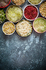 Image showing Various types of micro greens in colorful bowls on slate background. Fresh garden products