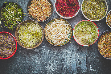 Image showing Various types of micro greens in colorful bowls on slate background. Fresh garden products