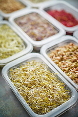 Image showing Various kind healthy microgreen sprouts in small packages placed on the stone background