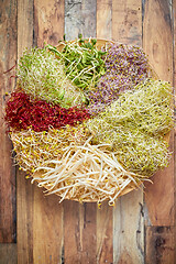 Image showing Vegetarian concept food. A set of different sprouted seeds for healthy eating on a wooden plate