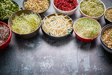 Image showing Various types of micro greens in colorful bowls on slate background. Fresh garden products