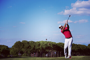 Image showing golf player hitting long shot