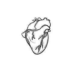 Image showing A heart hand drawn outline doodle icon.