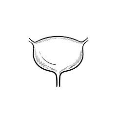Image showing Urinary bladder hand drawn outline doodle icon.