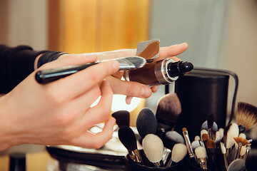 Image showing Professional makeup artist working at salon