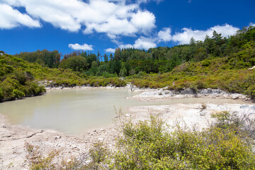 Image showing volcanic activities at waimangu