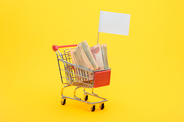 Image showing In the grocery cart lies a bundle of five thousandth bills and a white flag is set