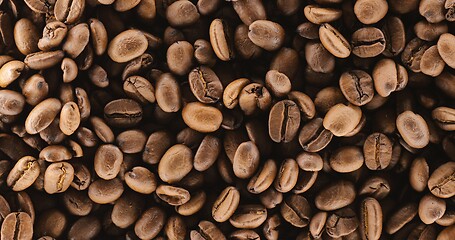 Image showing Roasted Coffee Beans