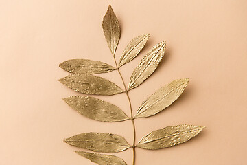 Image showing golden ash tree leaf on beige background