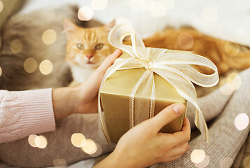 Image showing close up of female hands holding christmas gift