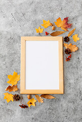 Image showing autumn fruits and picture frame or whiteboard