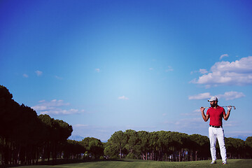 Image showing handsome middle eastern golf player portrait at course