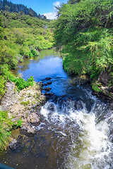 Image showing small river with green plants New Zealand