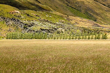 Image showing Landscape scenery in south New Zealand